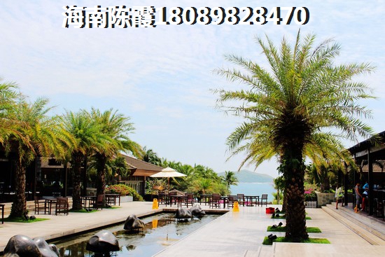 2020年青岛XG政策