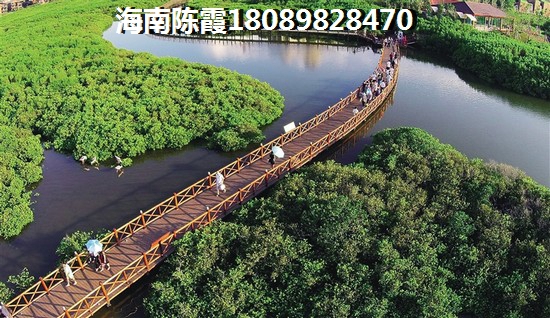 什么情况可以免征契税