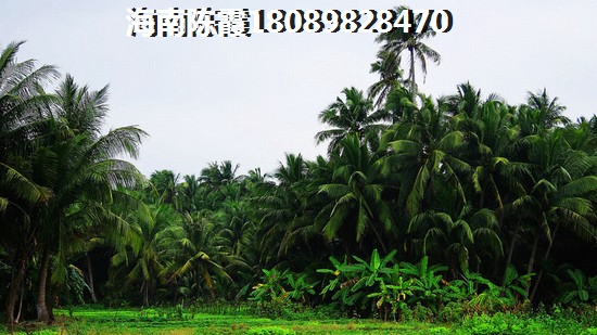 现在去大观千舍买房会后悔吗？